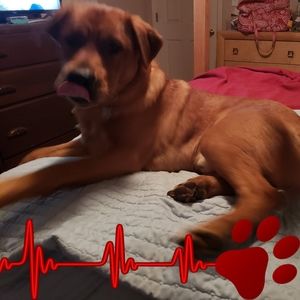 Meet your Posher, Pamela